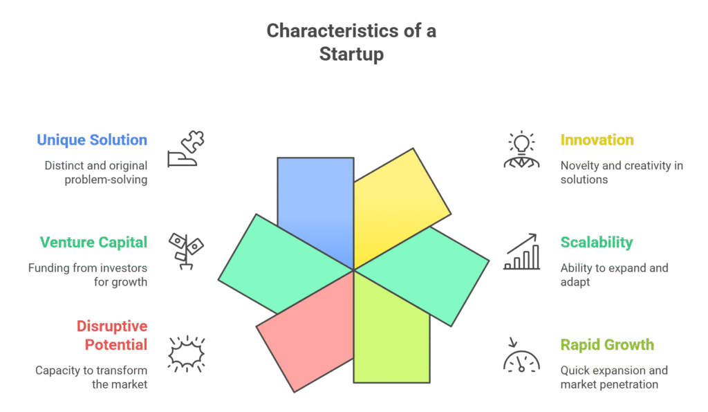 Characteristics of a Startup