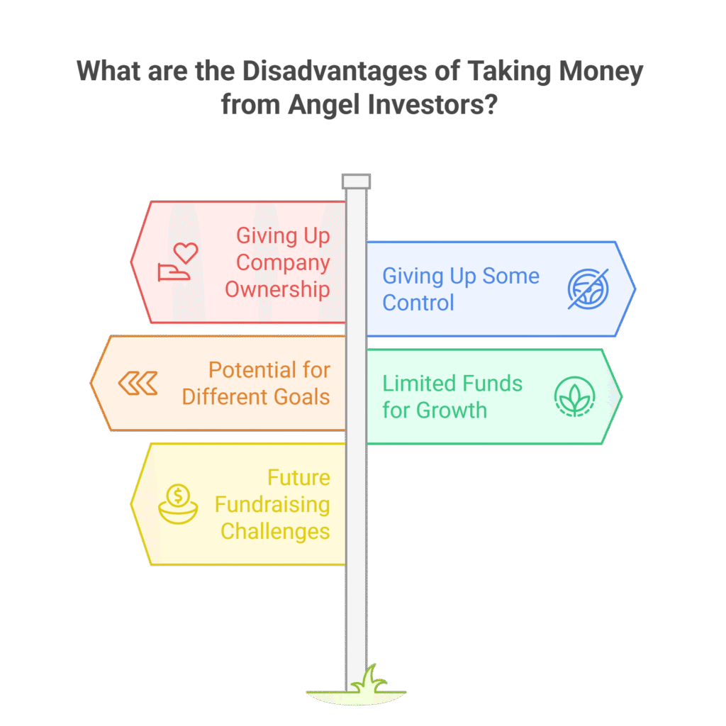 Disadvantages of Angel Investors